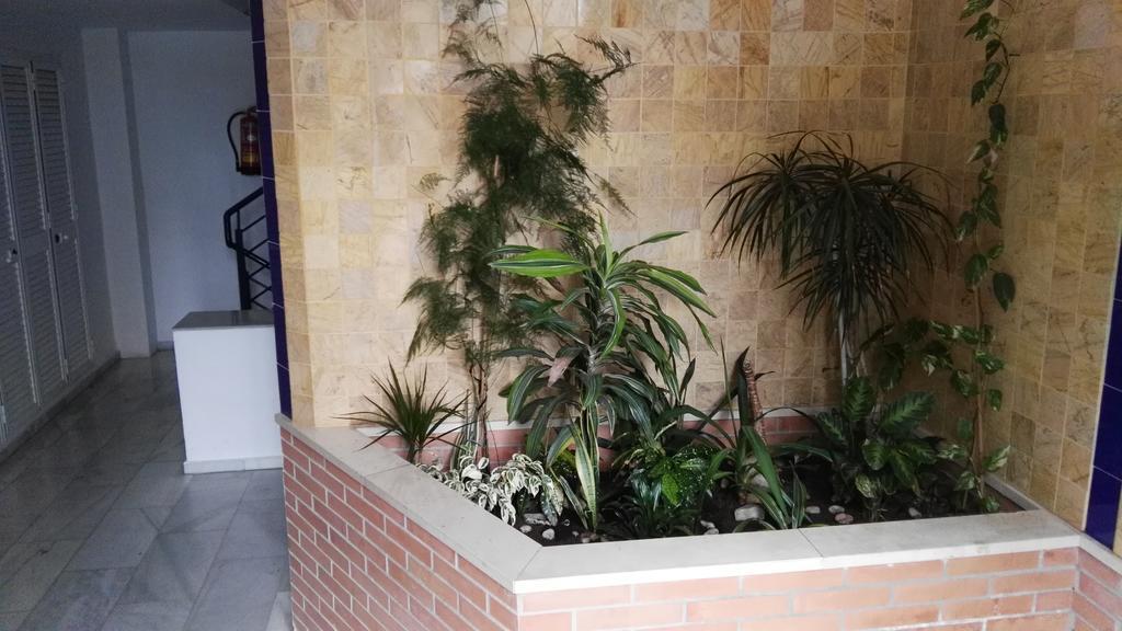 דירות מאלגה Fan Flat Eugenio (Adults Only) מראה חיצוני תמונה